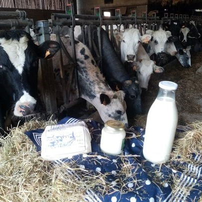 Ferme Dupuis et fils