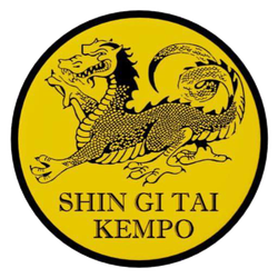 Kempo Shin Gi Tai