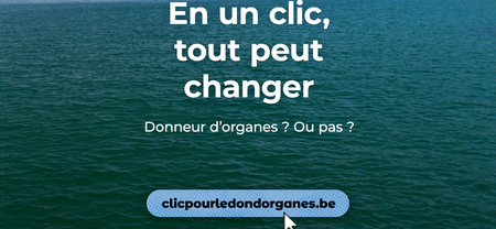 Illustration de l'actualité - cliquer pour agrandir