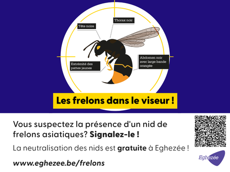 Illustration de l'actualité - cliquer pour agrandir