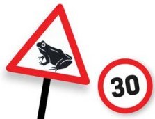 Imagegrenouille