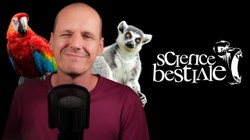François Verheggen, le professeur devenu youtubeur