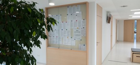 Illustration de l'actualité - cliquer pour agrandir